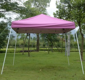10 x 10 Pink EZ Pop Up Tent