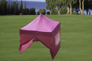 8 x 8 Pink Basic Pop Up Tent 2
