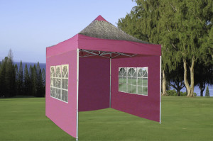 8 x 8 Pink Zebra Basic Pop Up Tent