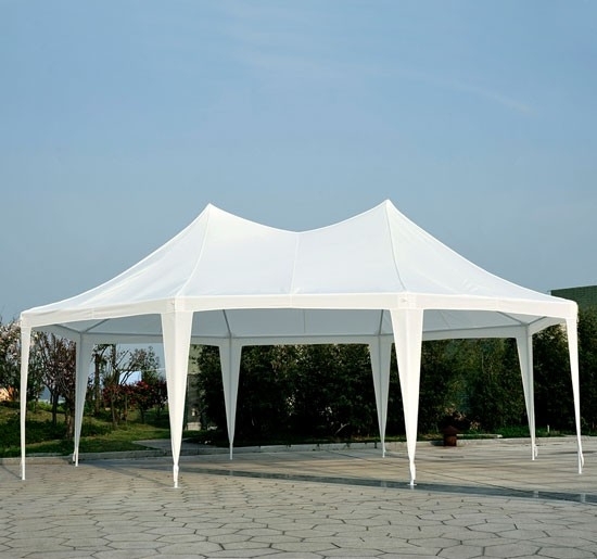 22 x 16 Party Tent Gazebo Canopy