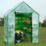 6.5 x 4.6 x 4.6 Portable Greenhouse Canopy