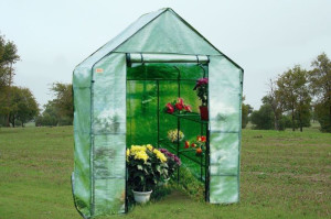 6.5 x 4.6 x 4.6 Portable Greenhouse Canopy