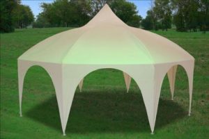 20 x 20 Octagon Tent Canopy Gazebo 2